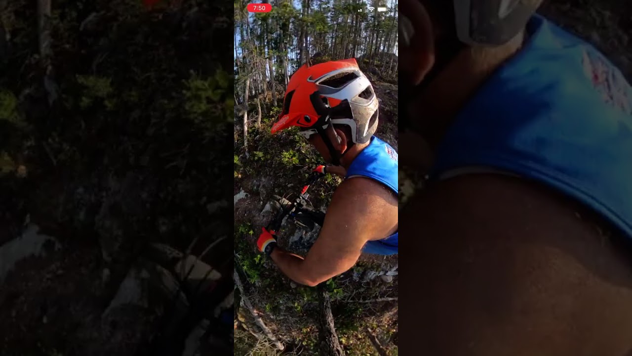 Devinci - E-Spartan