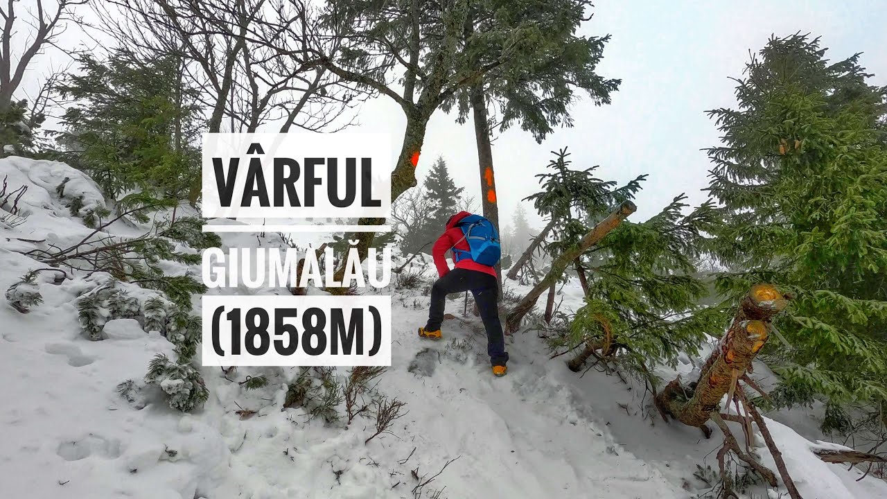 Traseu de iarnă pe V&acirc;rful Giumalău (1858 m) - Natura ne-a dat o lecție