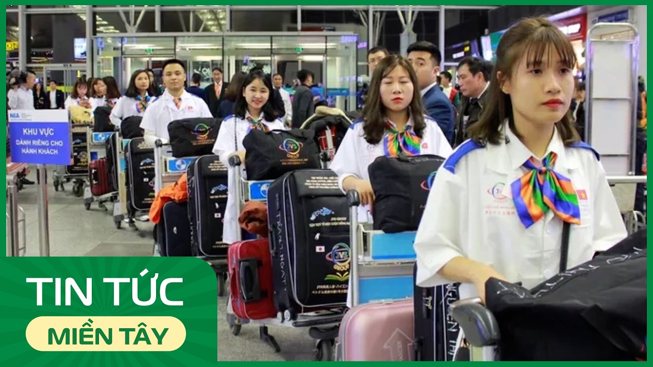 Tạm dừng đưa người lao động đi làm việc tại Trung Đông | THDT