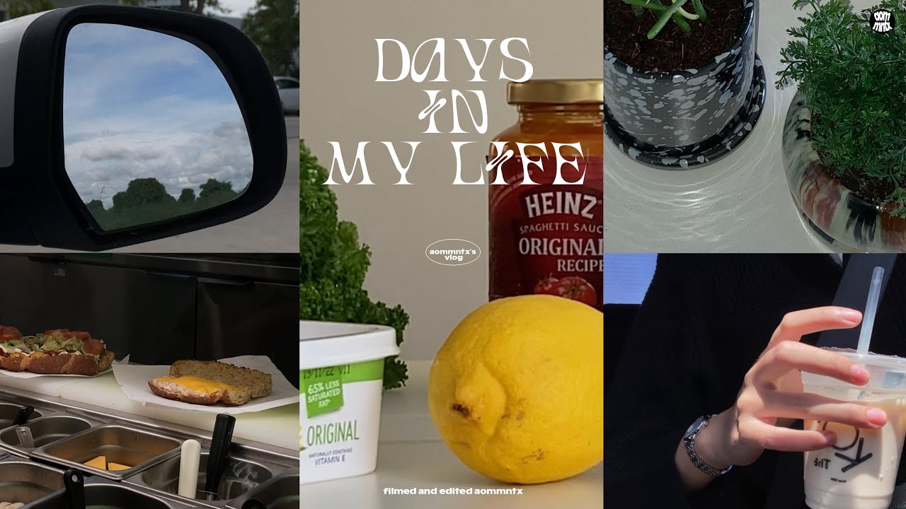 vlog, days in my life, ปิดเทอมแล้ว!, ต้นไม้ใหม่🪴, จัดห้องนอน, grocery shopping + cooking | aommntx