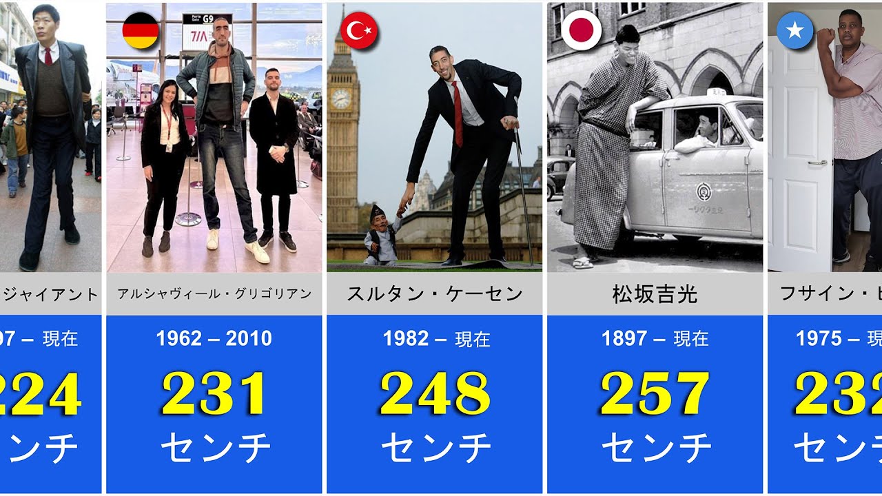 世界で最も背の高い人々 - 身長比較