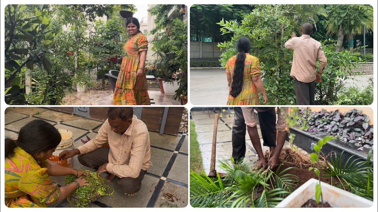 Garden Maintenance with garden tips |cauliflower curry|Hectic day after travel 