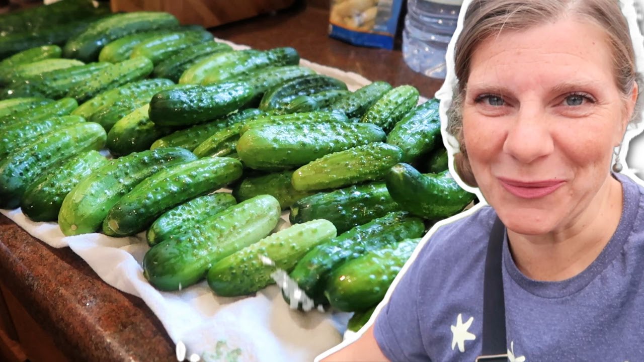 We Have Limited Directions to the Amish Farm | Home Canning Garlic Dill Pickles