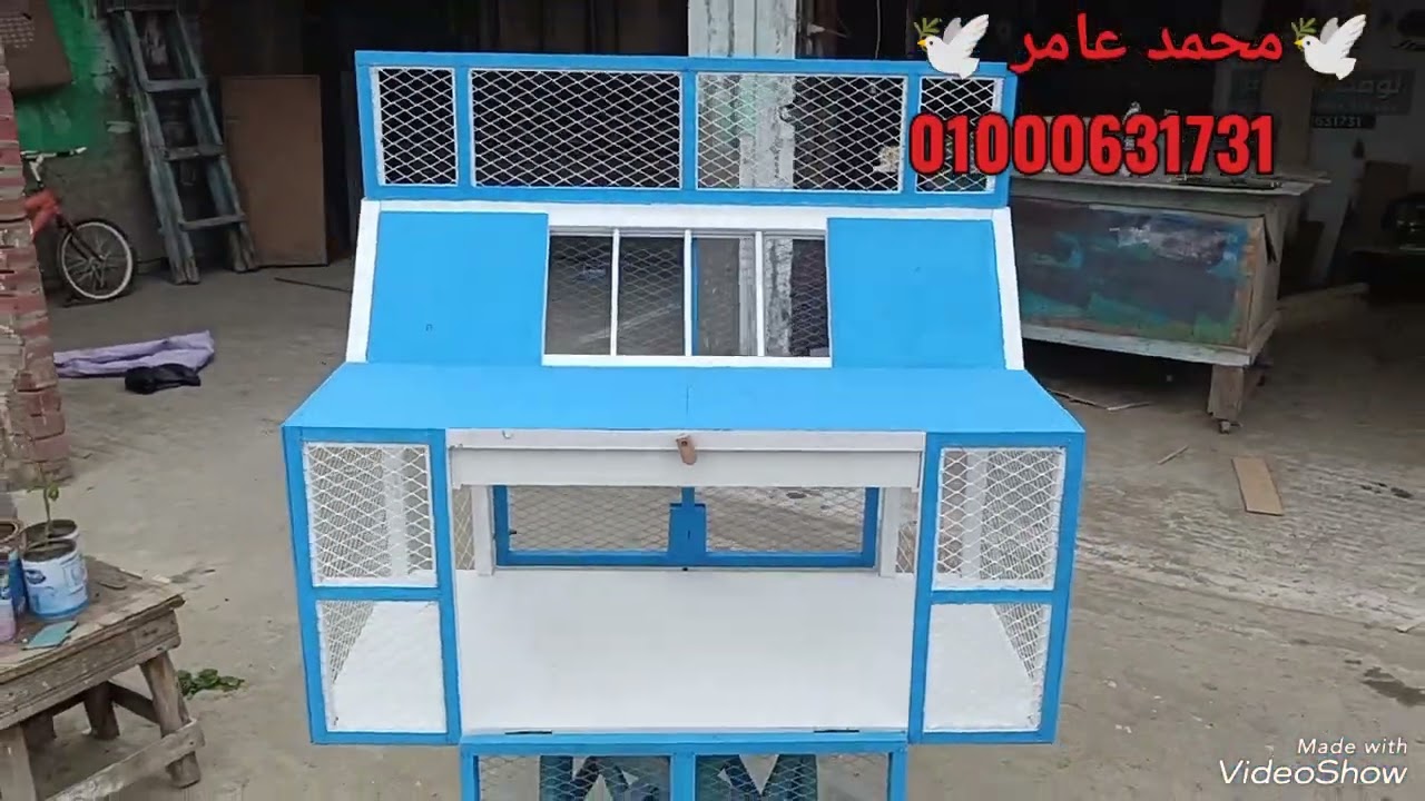 اجمل تراب حمام زاجل فى مصر 