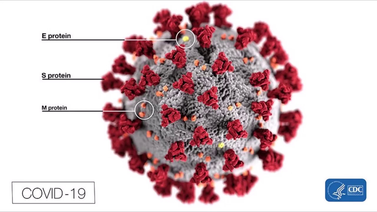 ELISA Testing-SARS CoV2 (COVID19)
