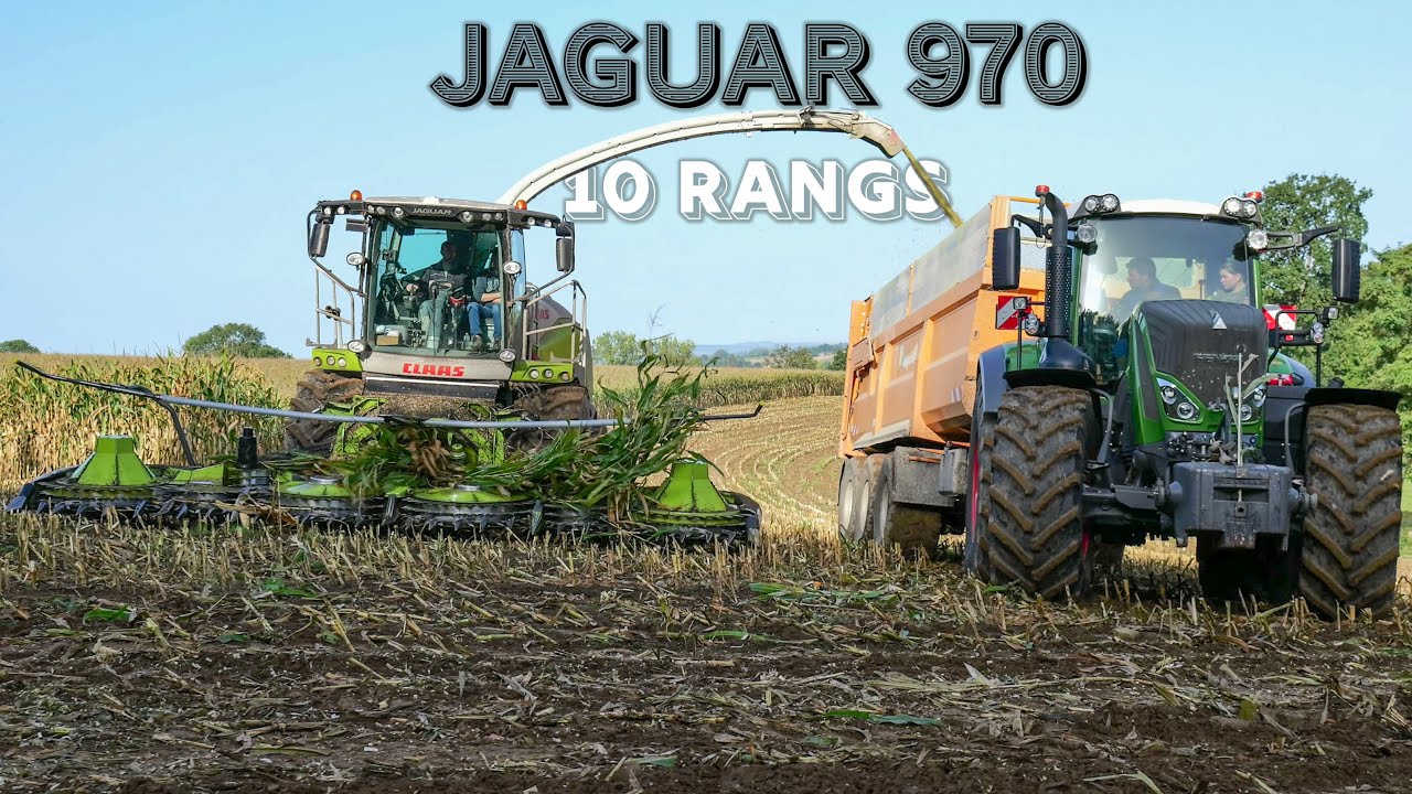 ENSILAGE dans le bocage NORMAND - CLAAS JAGUAR 970 / 10 RANGS