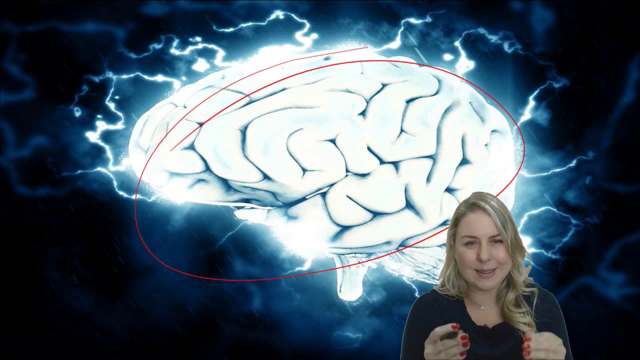 Como estudar para a OAB 2019