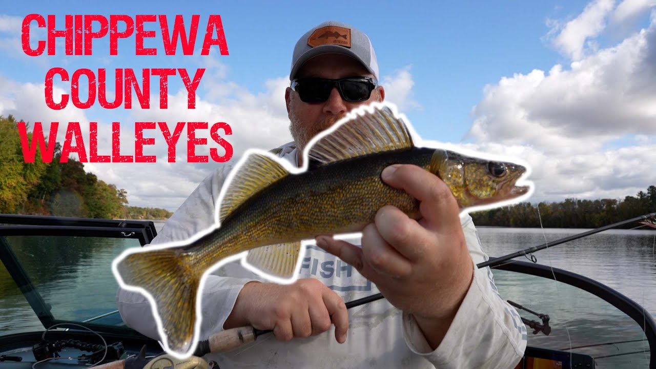 Walleyes in Chippewa County (WALLEYE TACTICS)