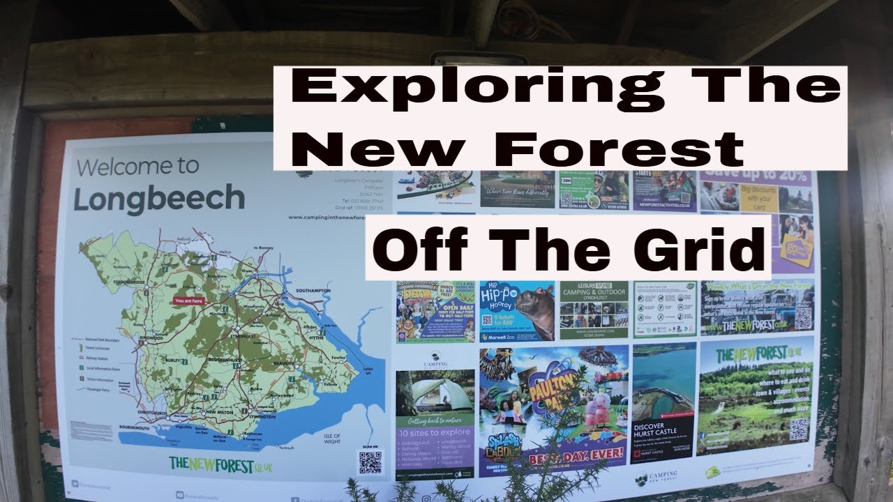 Exploring The New Forest Off The Grid