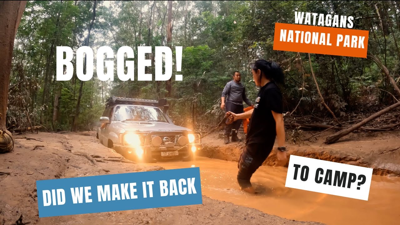 Watagans National Park (4WD tracks & Camping)