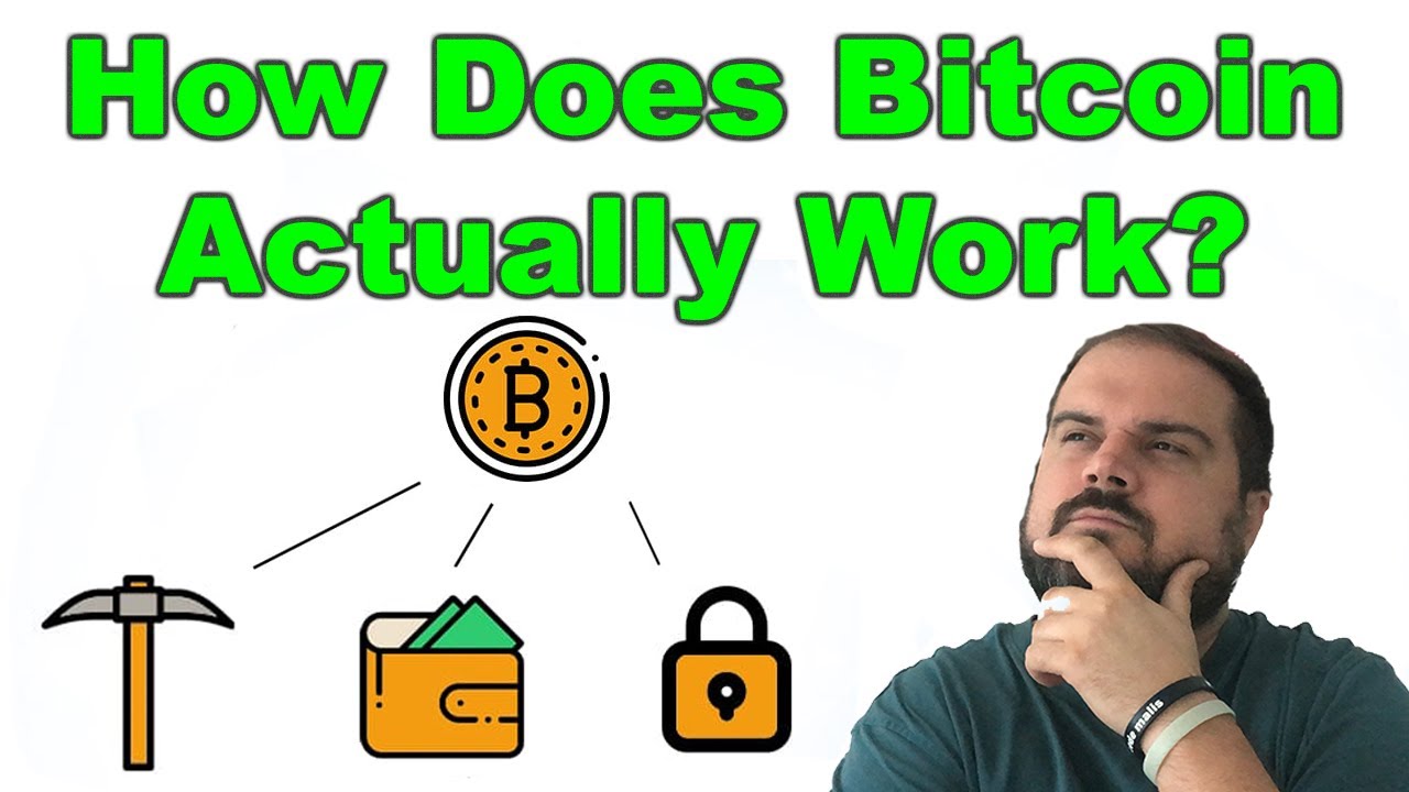 Bitcoin Explained (Bitcoin Transactions, Cryptography, and More!)