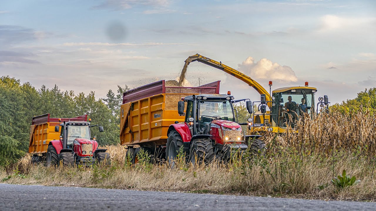 Mais Hakselen 2022 | New Holland FX40