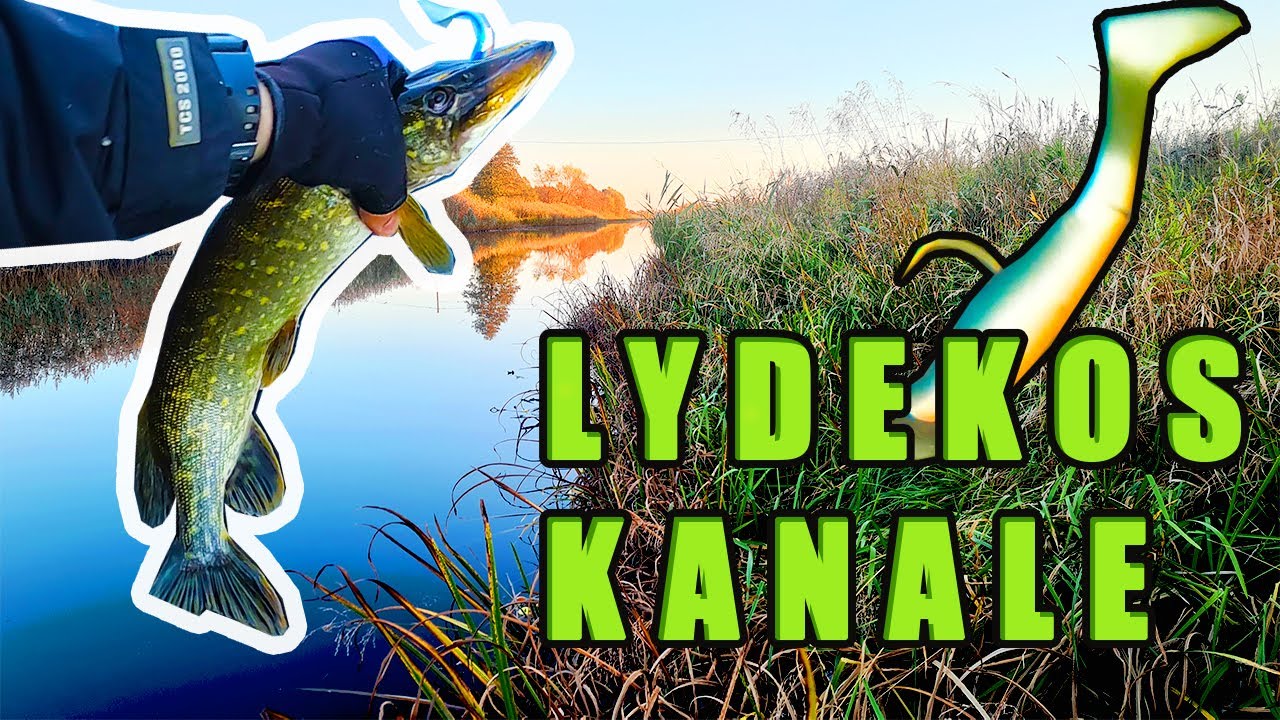 Rudeninė lydekų žūklė spiningu kanale