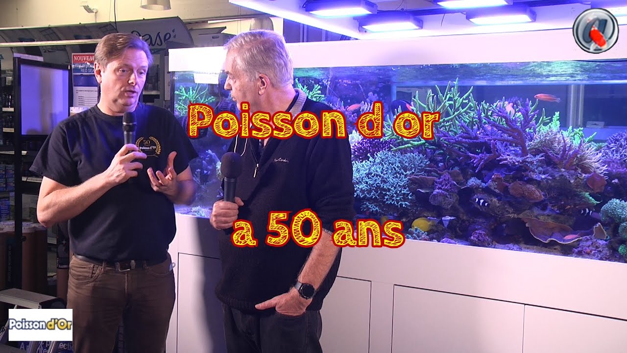 Poisson d or a 50 ans