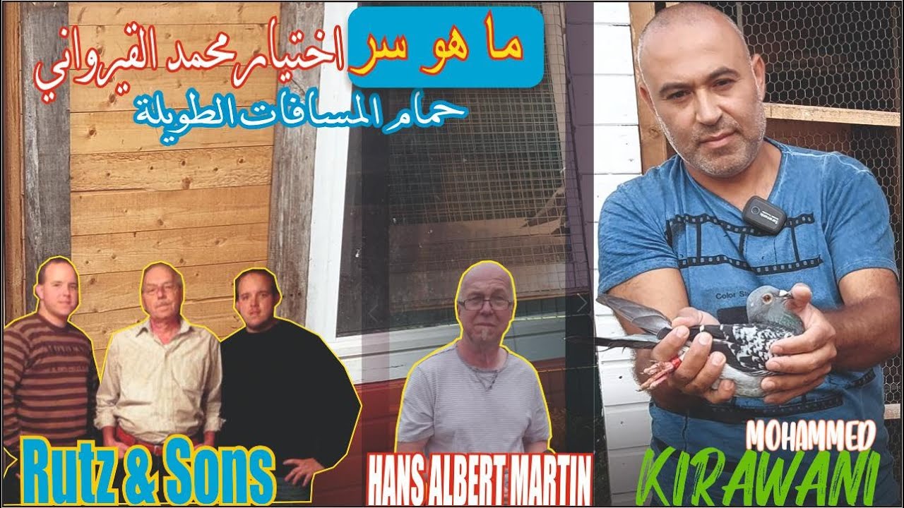 لماذا اختارمحمد القيرواني حمام المسافات الطويلة ؟ تفاصيل شيقة حول علاقته مع  | Rutz و HANS MARTIN