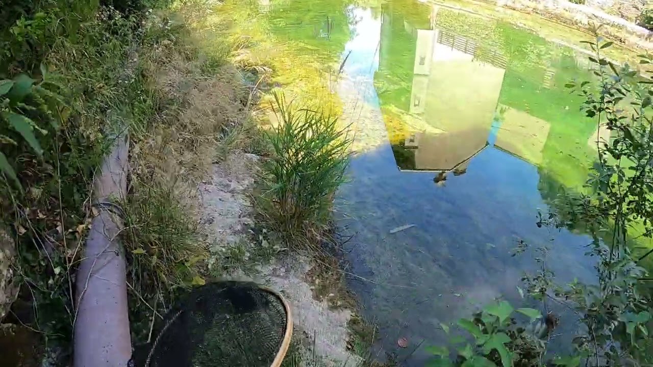 pêche albarine bis pêche nymphe