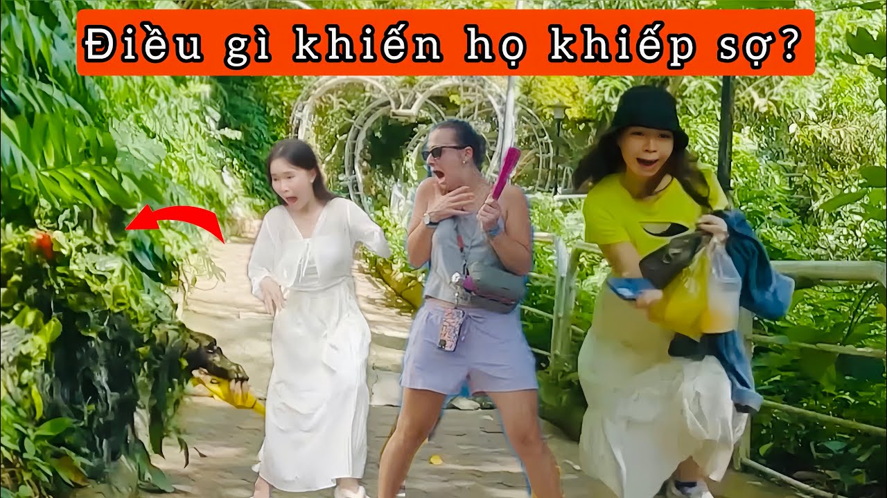 Đừng xem video này nếu bạn không muốn 🤣🤣