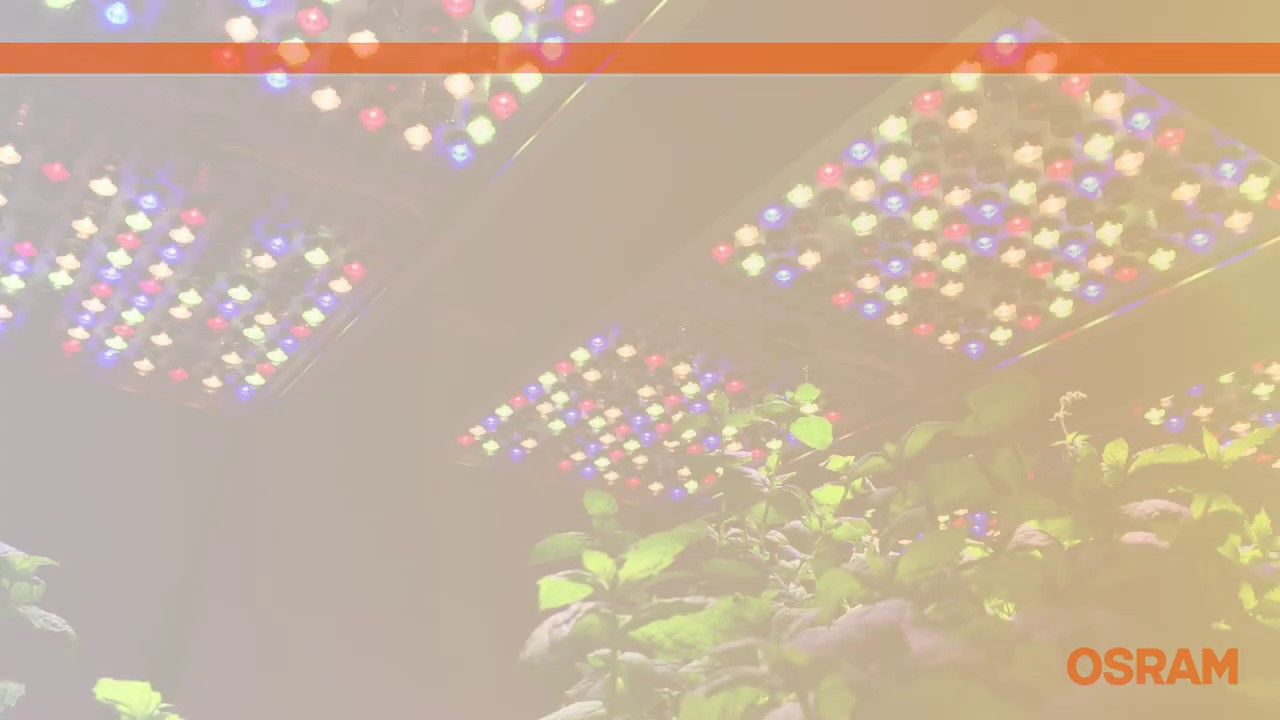 OSRAM PHYTOFY RL &ndash; video tutorial