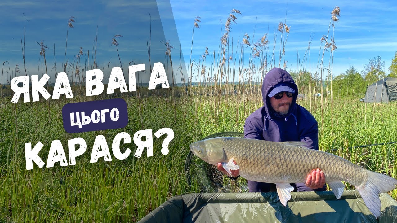 ЗЛОВИВ МОНСТРА АМУРА. РИБАЛКА НА ОЗЕРІ ДОБРОГОСТІВ. Лісове озеро на яке хочеться повернутись.