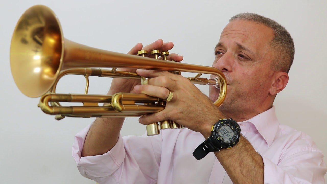 Hino 210 - Sem improvisos