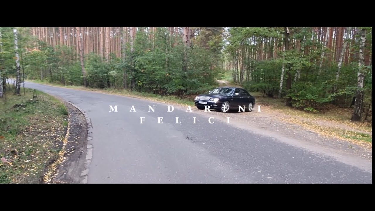 Mandarini Felici - Non mi interessa (Official Music Video)