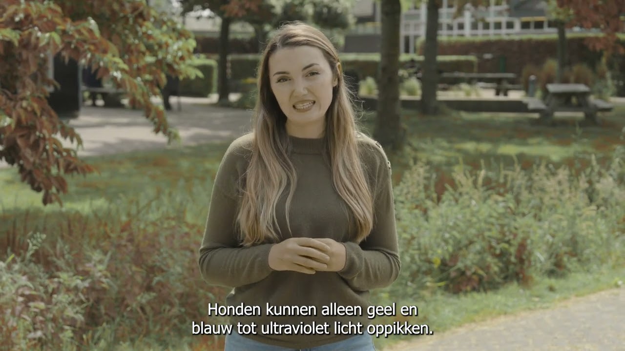 Superpower: zicht en ruimtelijk inzicht