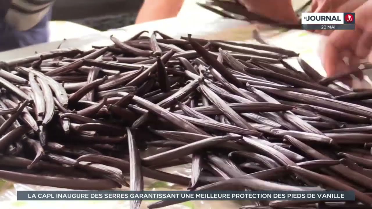 La CAPL inaugure des serres garantissant une meilleure protection des pieds de vanille