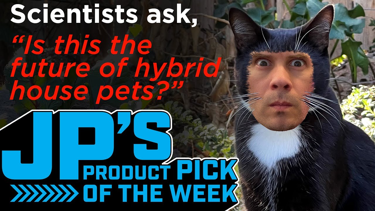 JP’s Product Pick of the Week 3/15/22 OLED FeatherWing 128x64 w STEMMA QT  @adafruit @johnedgarpark