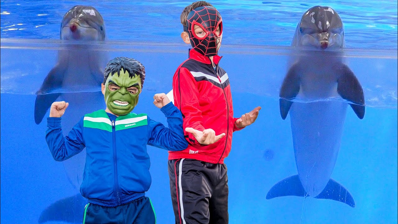Boudewijn Seapark 2016, Dolfijnen Show