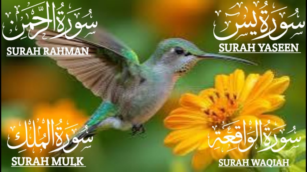 سورة يس، الرحمن، الواقعة، الملك من أروع ما جود استمع بنية الرزق والشفاء❤️Mind-Calming✨Yasin💫Rahman