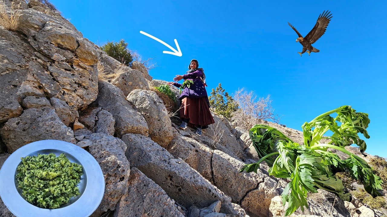 A day in the wild mountains with Taban and picking mountain herbs⛰️🌿