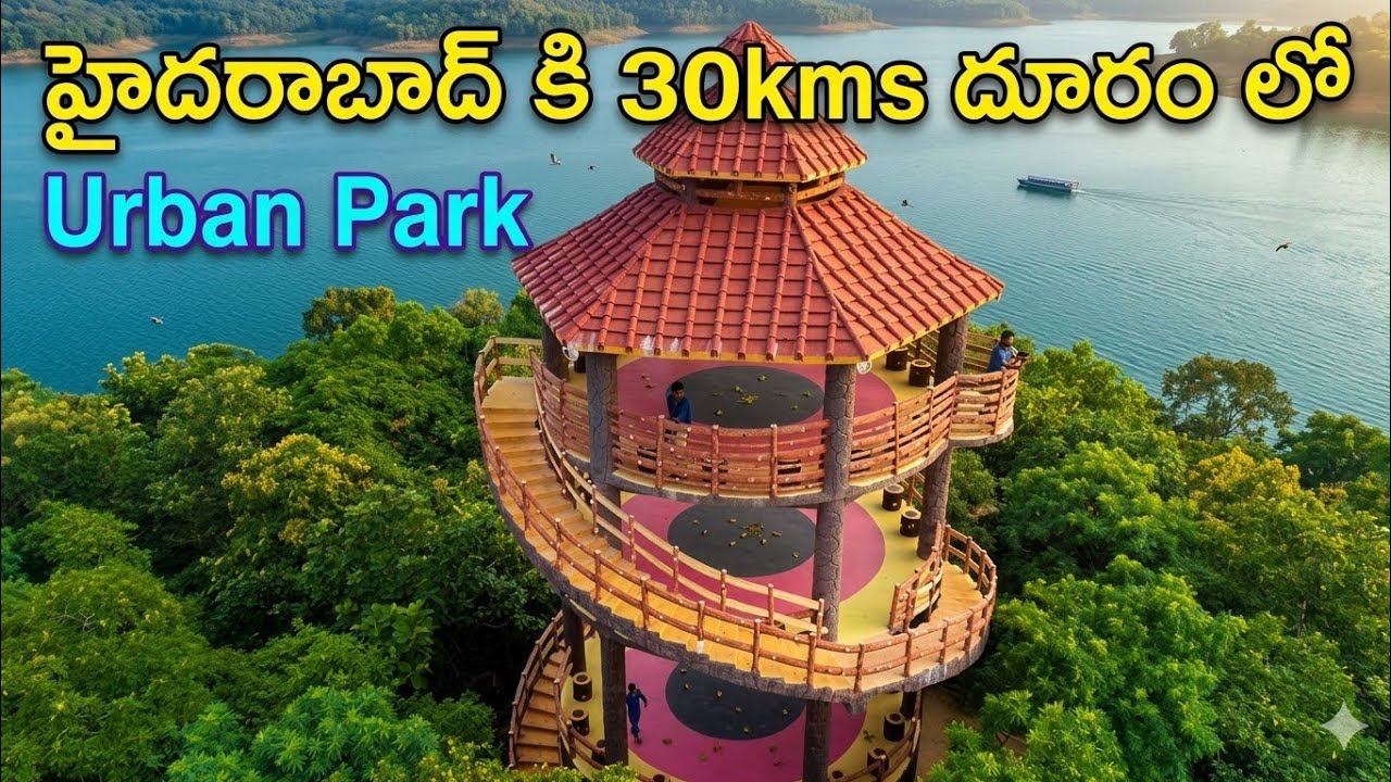 Narsapur Forest Urban Park | Trekking | Narsapur Lake #foresttrekking #forest #hyderabadforest 