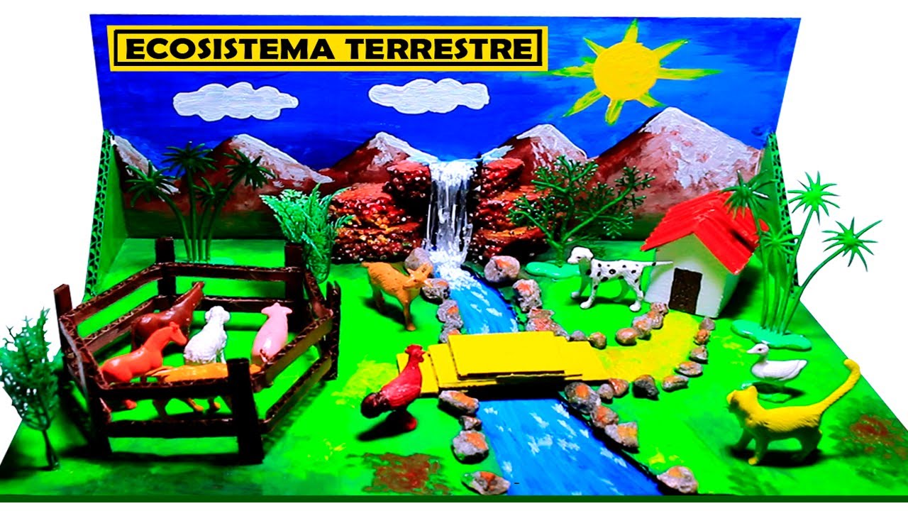 MAQUETA  de ECOSISTEMA TERRESTRE paso a paso