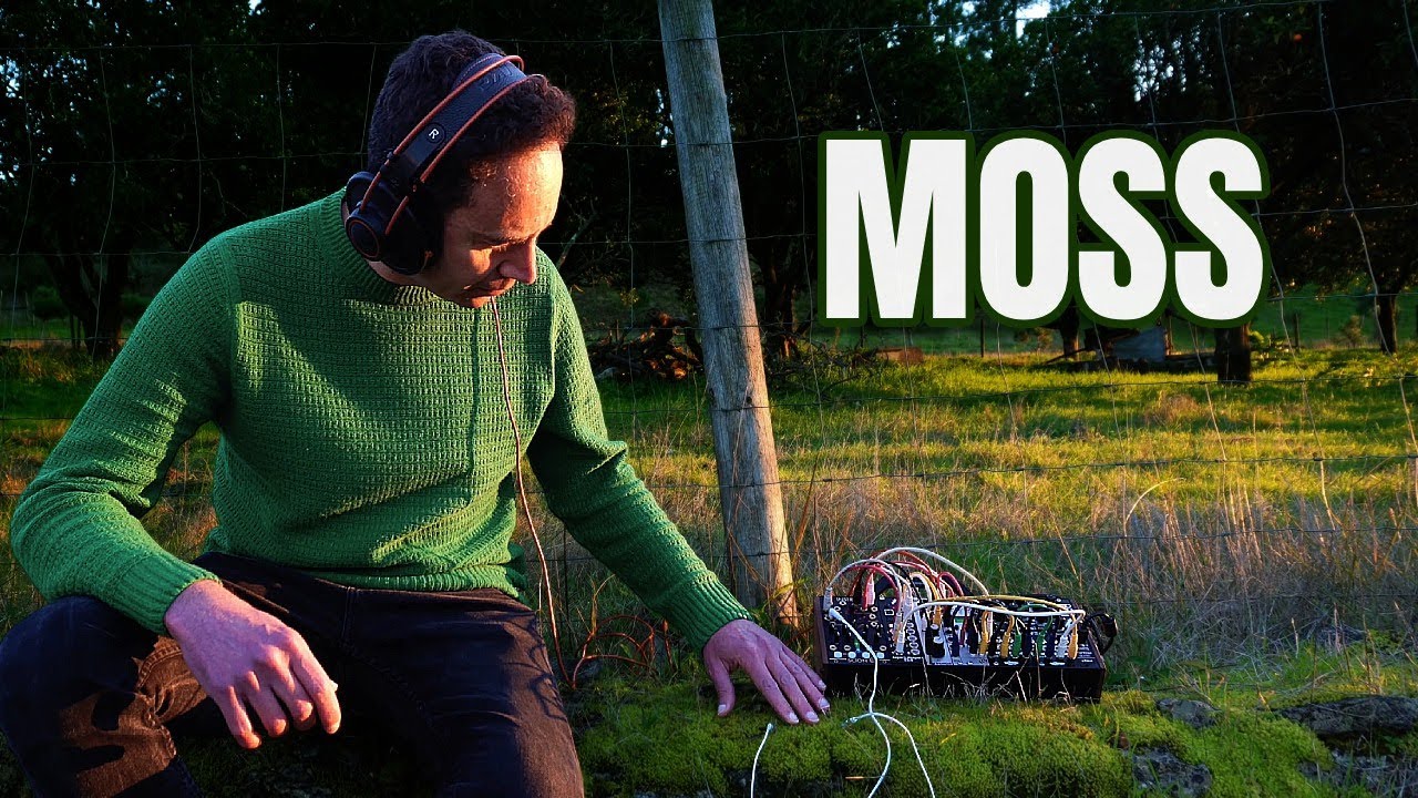 Moss 🌿 | Living Sound, Slow Time