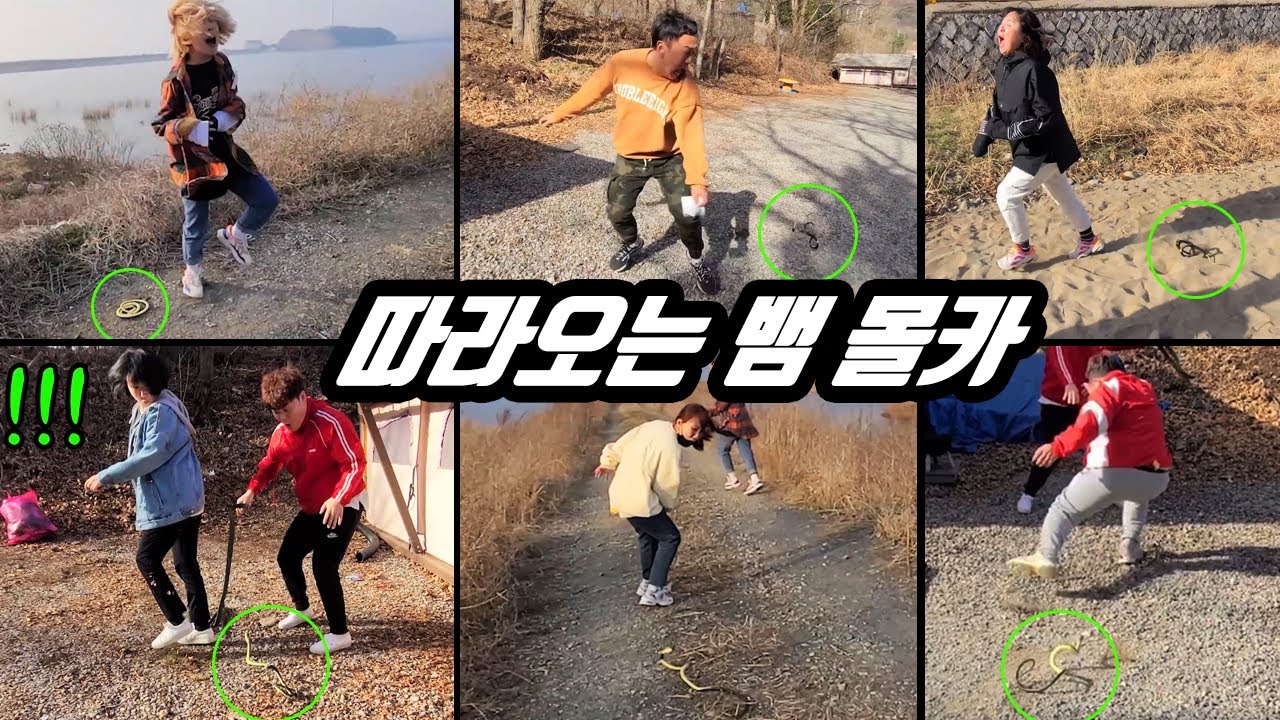 몰카 ) 따라오는 뱀 몰래카메라 액기스 모음집 ㅋㅋㅋ 포복 졸도 빵빵 터지는 웃음보장 리액션 ㅋㅋㅋ 다시봐도 너무 재밌다 (시간순삭)