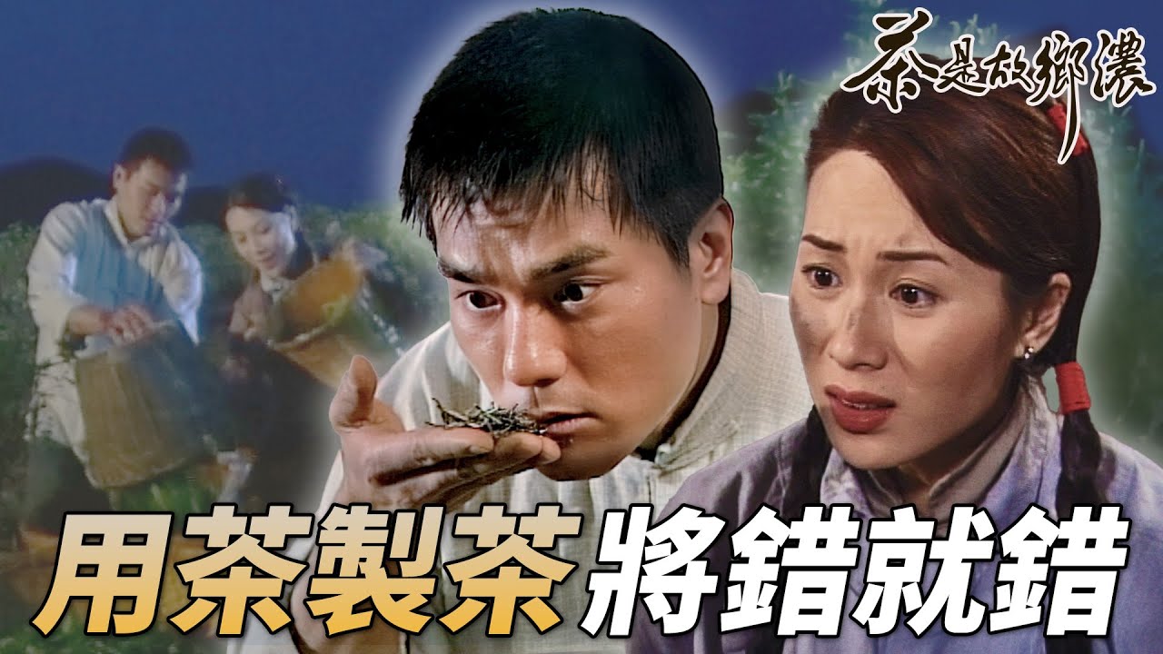 用茶製茶先要將錯就錯！兩個臭皮匠勇救爛攤子｜茶是故鄉濃｜林家棟｜張可頤｜蘇玉華｜麥長青｜元華｜港劇精華｜TVB 劇集