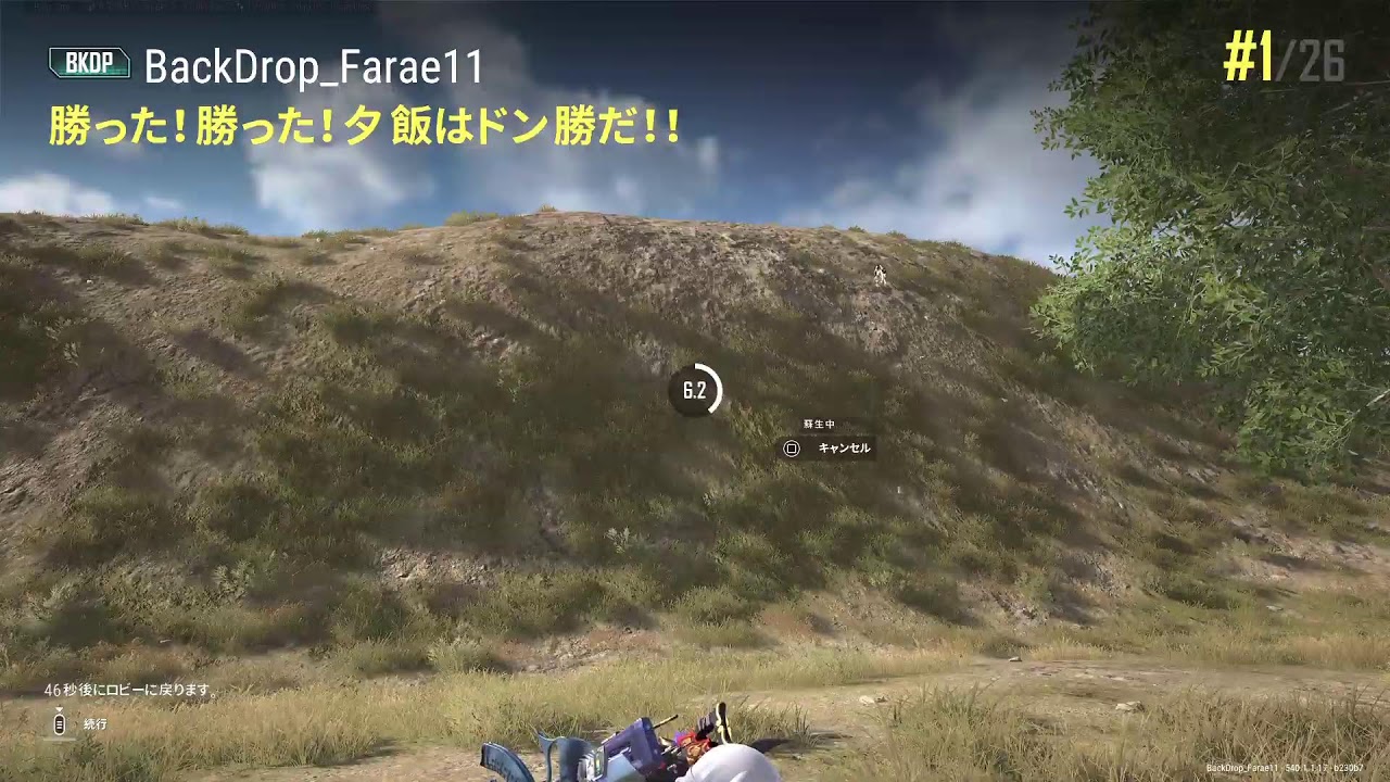 [PS5]のんびりやってくPUBG～(BackDrop_Farae11)