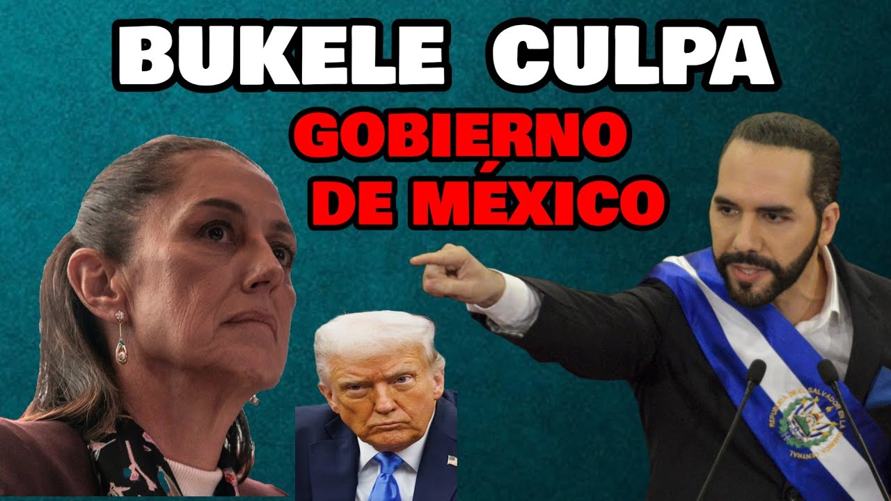 Nayib Bukele  culpa a Claudia  Cheinbaum no combate a los criminales Por eso Trump  lo va hacer