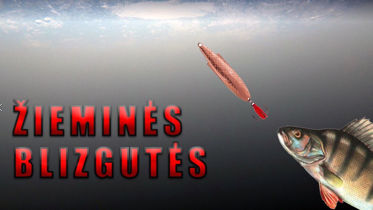 Poledinė ešerių žūklė blizgutėmis ir netikėtas laimikis