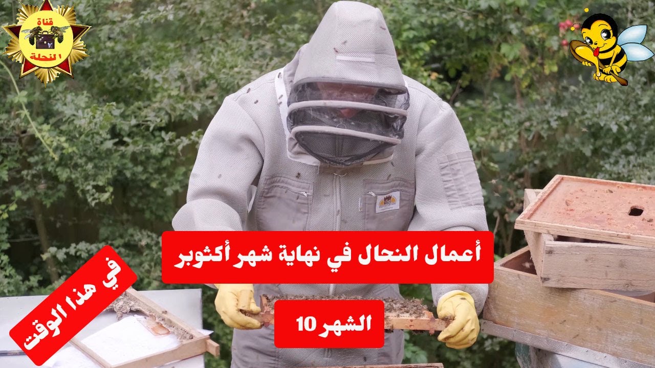 أعمال النحال في أواخر شهر أكثوبر / الشهر العاشر