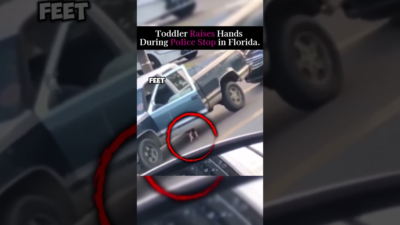 Toddler Raises Hands During Police Stop. #police#lawcamclips