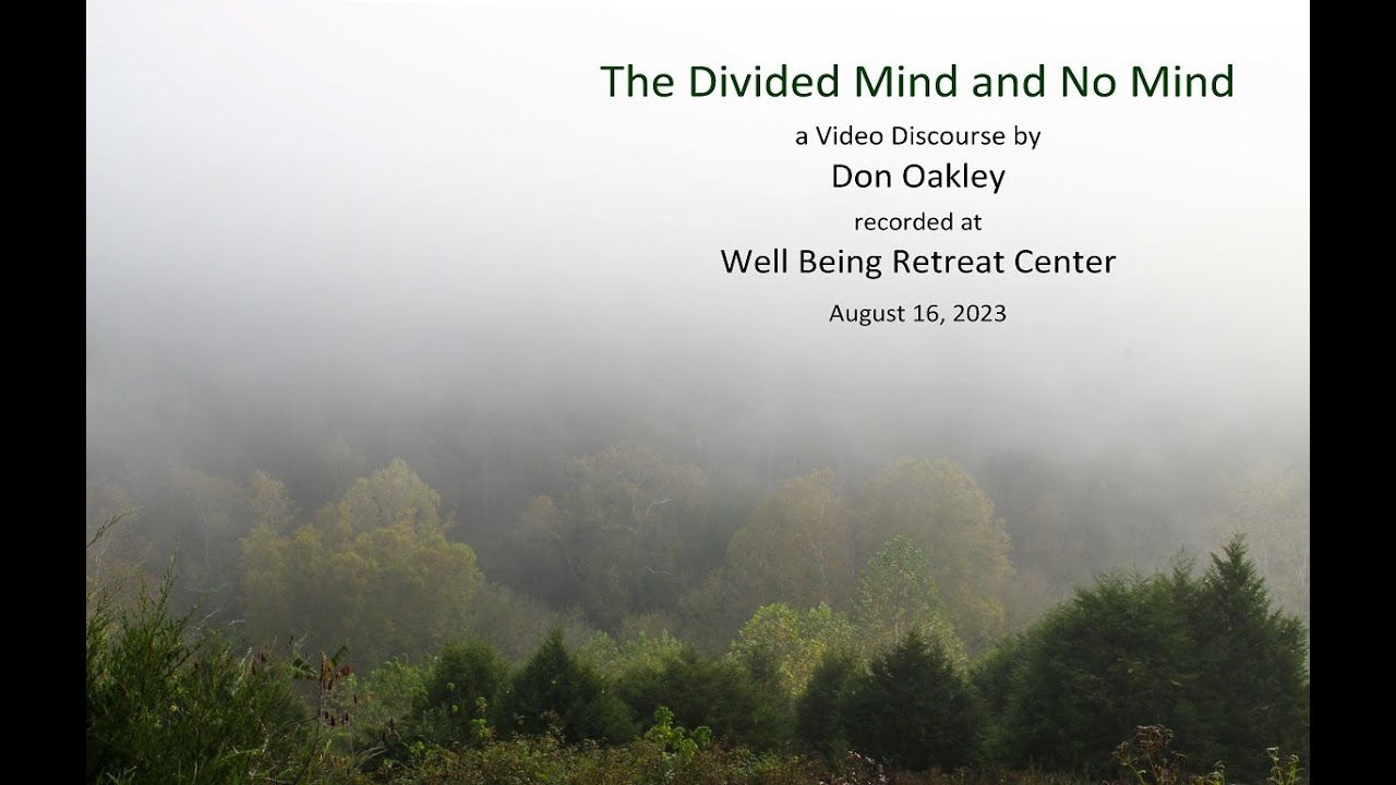 The Divided Mind and No Mind