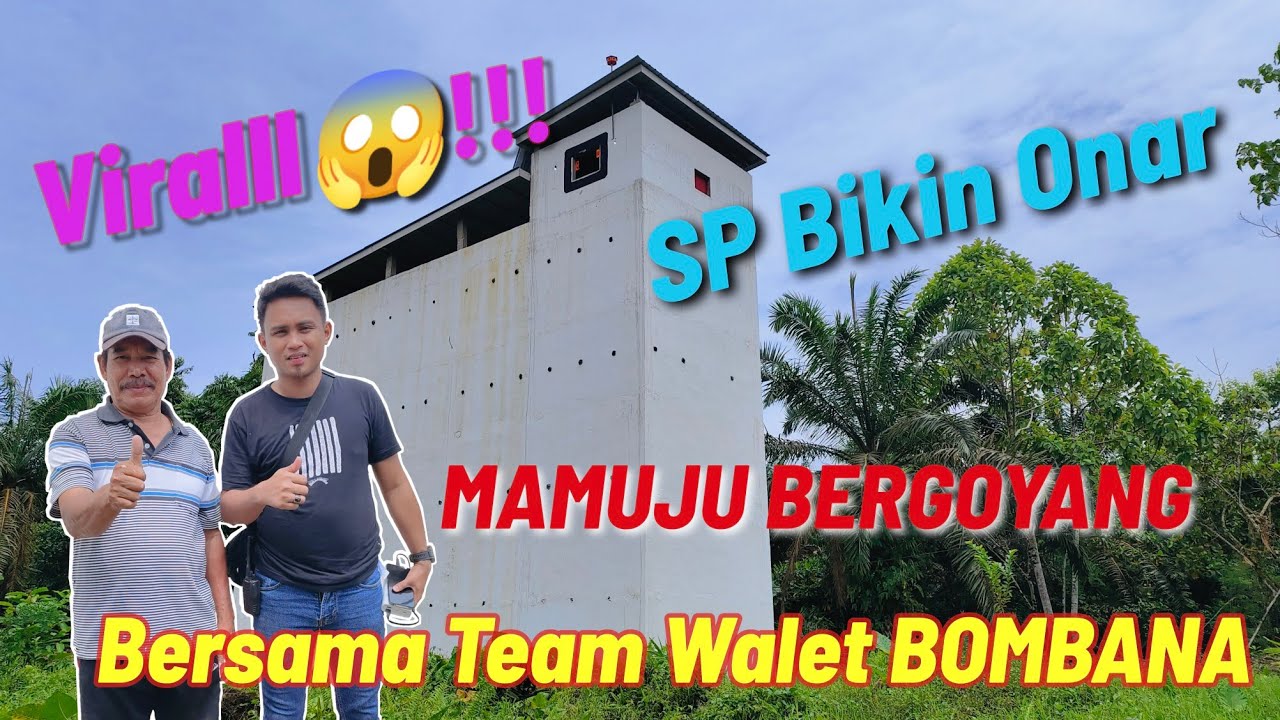 Viralll😱!!!,SP Bikin Onar bergoyang di MAMUJU, SULBAR. Bersama Team Walet BOMBANA