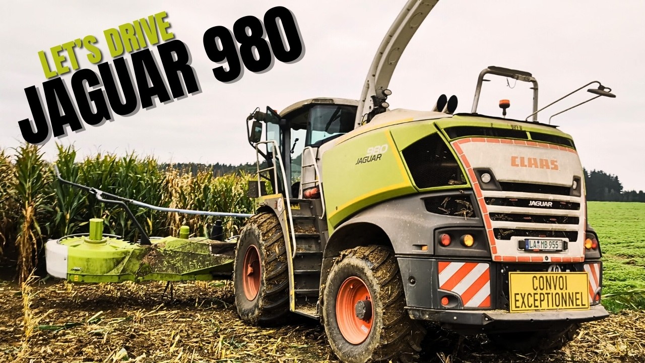 Maismonster! Let's drive Claas Jaguar 980 POV Maishäckseln mit case steyr valtra