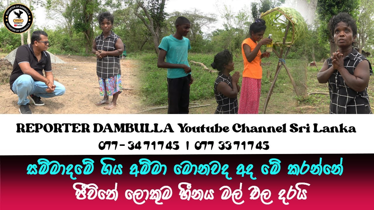 සම්මාදමේ ගිය අම්මා මොනවද අද මේ කරන්නේ || Reporter Dambulla || Kumara Ihalagedara || Sri Lanka