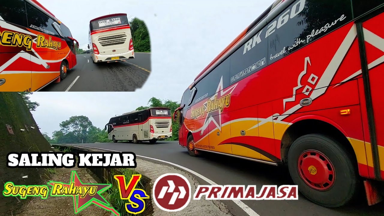 Kalah Telak ‼️saling kejar bus sugeng rahayu VS primajasa di tanjakan