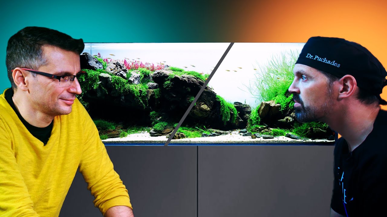 Balazs RESCAPED Juan Puchades' WORKSHOP Aquarium