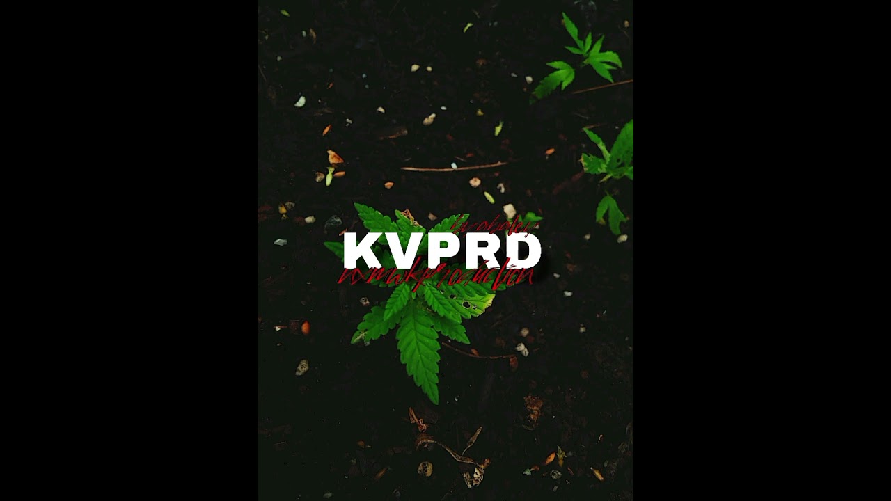 KVPRD x Jul - Le loup REMIX REGGAE VYBZ KRTF ZKZ4