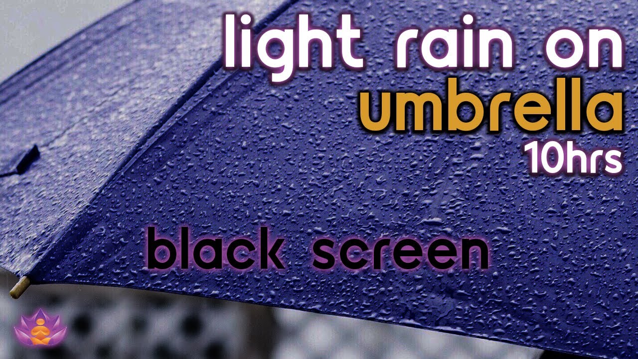 [Black Screen] Light Rain on Umbrella | Rain Ambience No Thunder | Gentle Rain Sounds for Sleep
