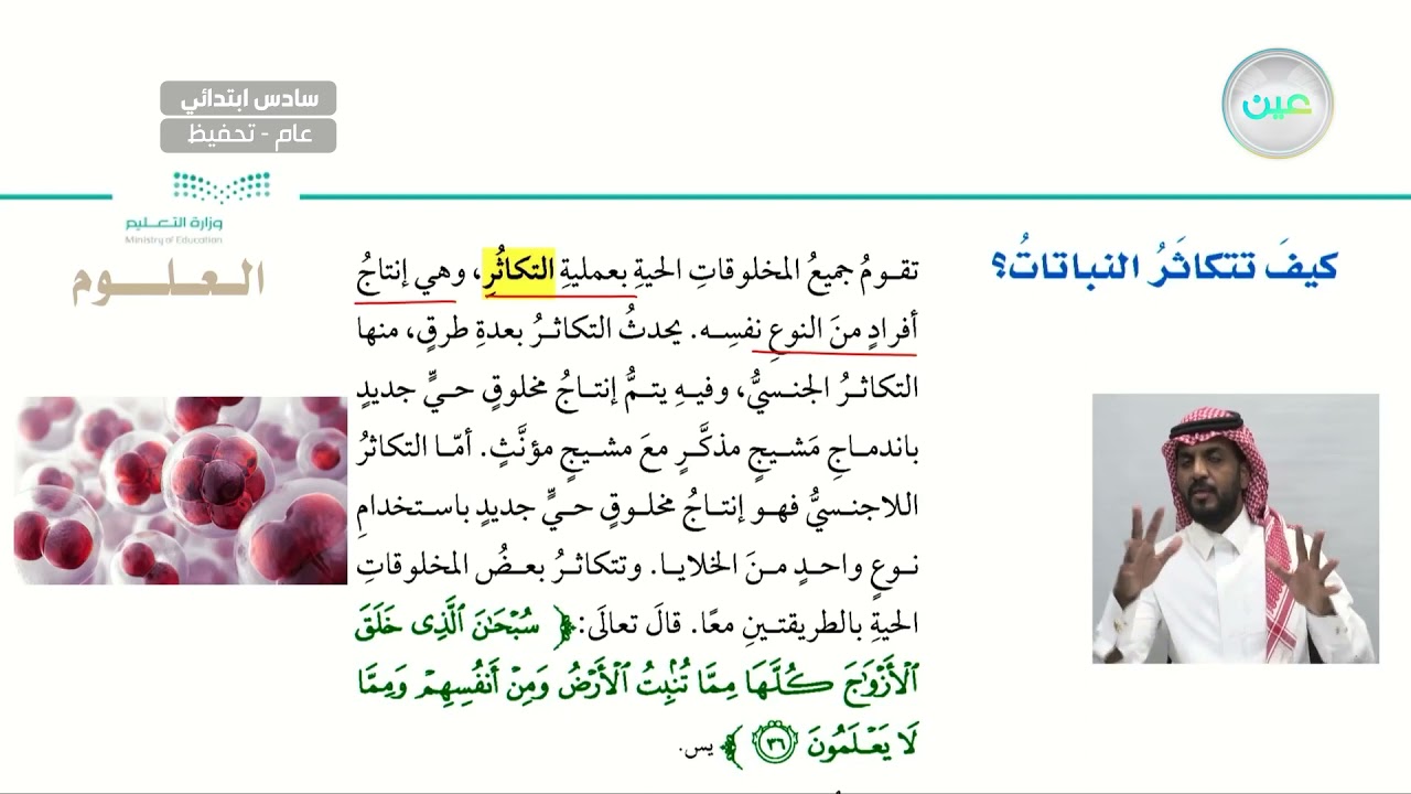 كيف تتكاثر النباتات ؟ - العلوم - سادس ابتدائي